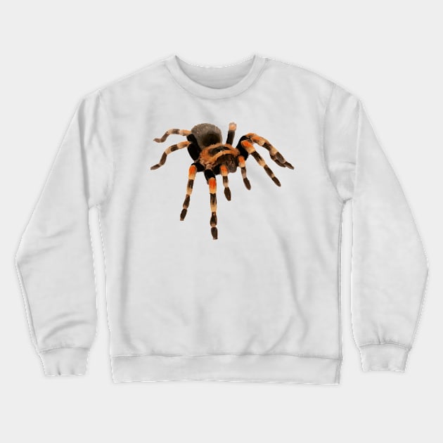 Tarantula Crewneck Sweatshirt by TortillaChief